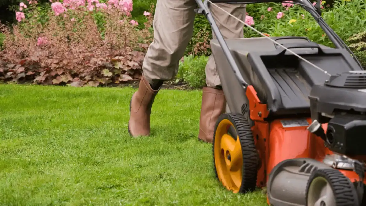 Protecting Hearing During Lawn And Power Tool Use